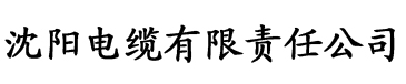 草莓免费视频精品电缆厂logo